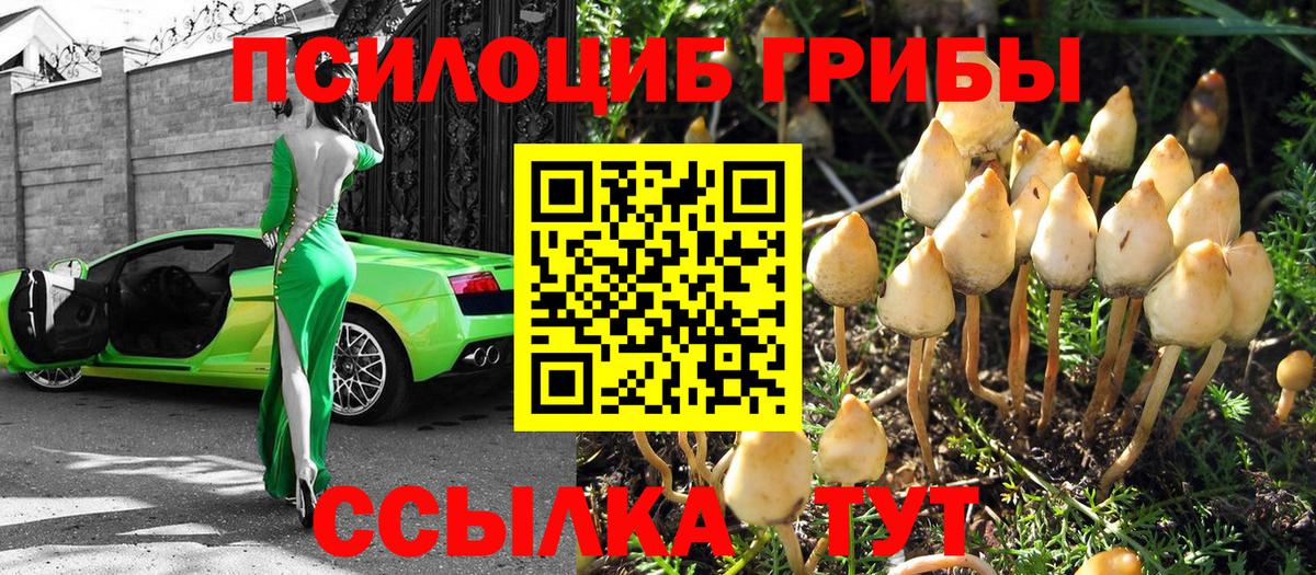 Галлюциногенные грибы мицелий  Вход с VPN  Псилоцибиновые грибы мицелий  Александров 