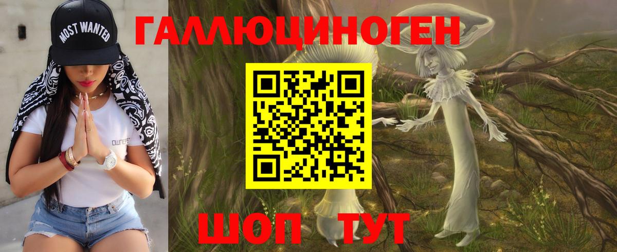 Псилоцибиновые грибы Cubensis Александров